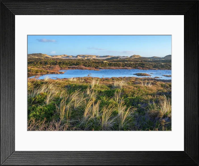 Framed Print : Shifting dunes at Ellenbogen area, Sylt Island, North Frisian Islands, Schleswig Holstein, Germany Framed Print : Shifting dunes at Ellenbogen area, Sylt Island, North Frisian Islands, Schleswig Holstein, Germany