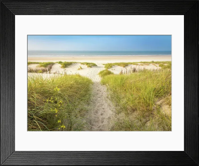 Framed Print : Sandy path in the dunes to the north beach of Norderney, East Frisian Islands, East Frisia, Lower Saxony, Germany Framed Print : Sandy path in the dunes to the north beach of Norderney, East Frisian Islands, East Frisia, Lower Saxony, Germany