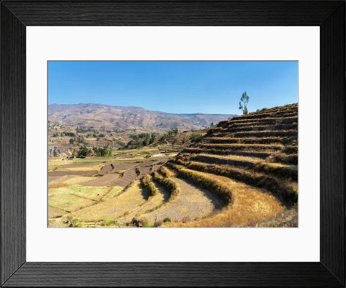 Framed Print : Terraced fields at Canyon Colca, Yanque District, Caylloma Province, Arequipa Region, Peru Framed Print : Terraced fields at Canyon Colca, Yanque District, Caylloma Province, Arequipa Region, Peru