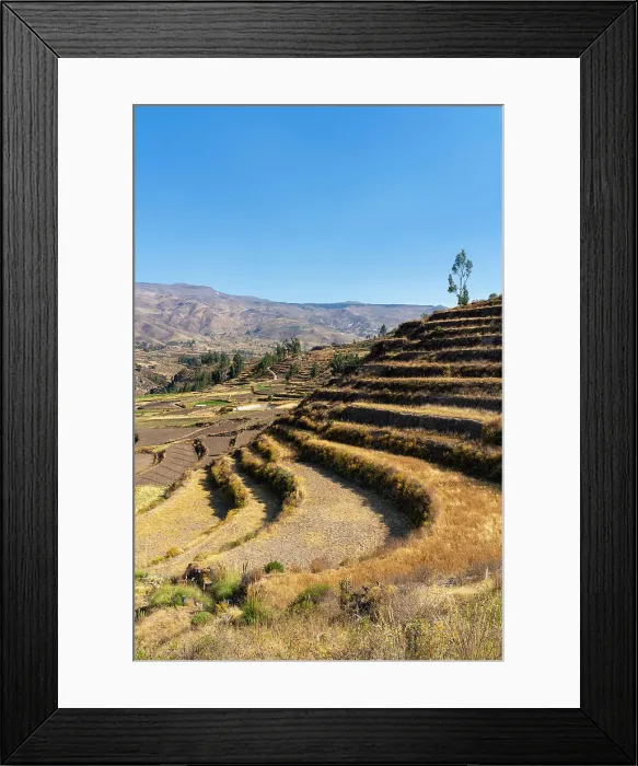 Framed Print : Terraced fields at Canyon Colca, Yanque District, Caylloma Province, Arequipa Region, Peru Framed Print : Terraced fields at Canyon Colca, Yanque District, Caylloma Province, Arequipa Region, Peru
