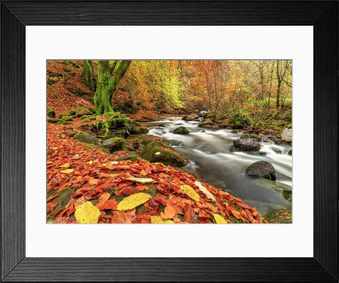 Framed Print : Birks of Aberfeldy in Autumn, Perthshire, Scotland Framed Print : Birks of Aberfeldy in Autumn, Perthshire, Scotland