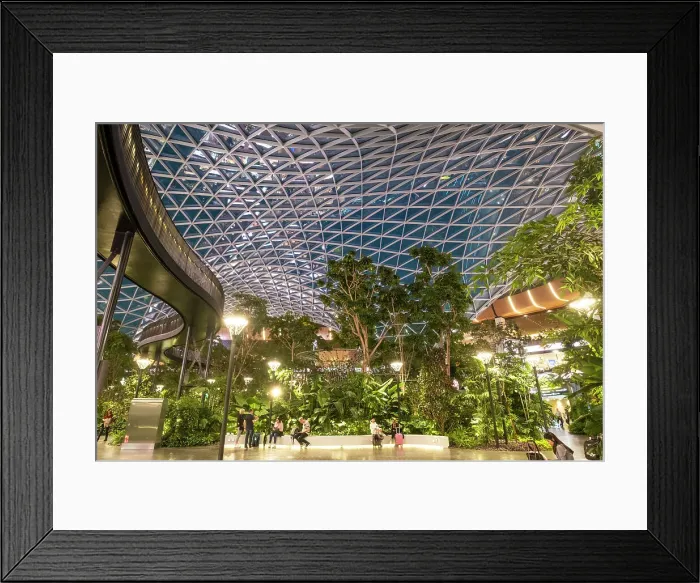Framed Print : The Orchard at Hamad International Airport, Doha, Qatar Framed Print : The Orchard at Hamad International Airport, Doha, Qatar