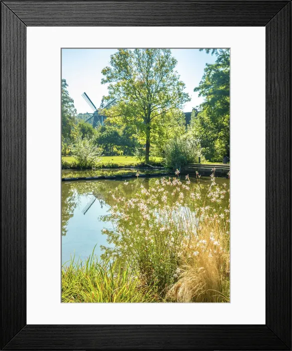 Framed Print : Pond in the spa park of Bad Zwischenahn, Oldenburger Land, Lower Saxony, Germany Framed Print : Pond in the spa park of Bad Zwischenahn, Oldenburger Land, Lower Saxony, Germany
