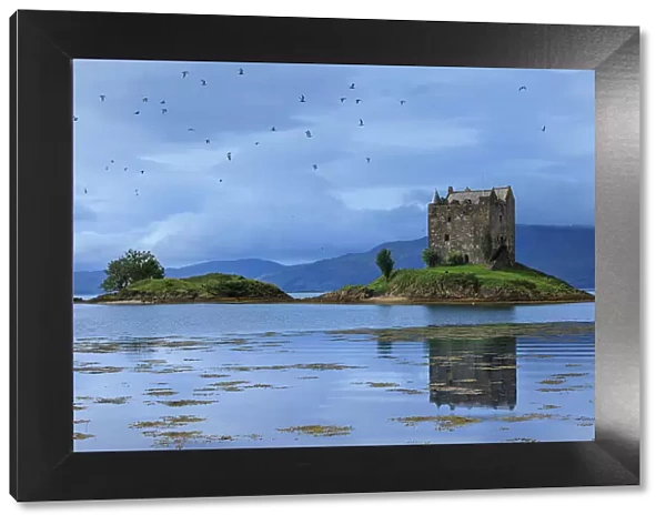 Castle Stalker on Loch Linnhe, Appin, Argyll & Bute, Scotland