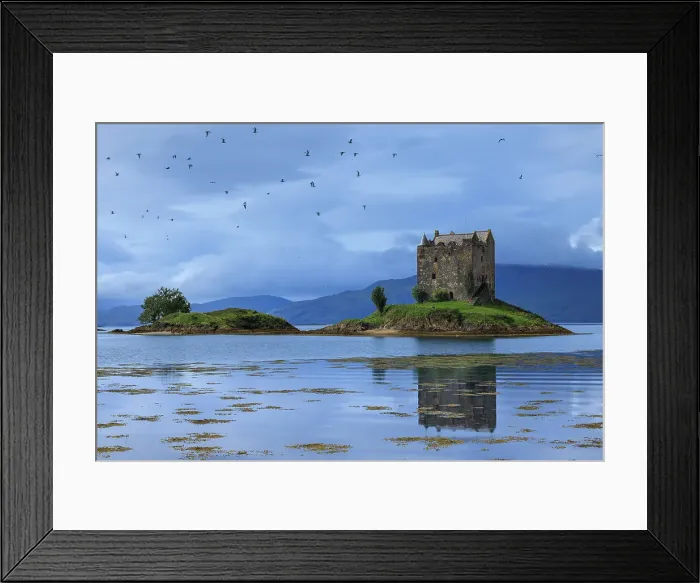 Framed Print : Castle Stalker on Loch Linnhe, Appin, Argyll & Bute, Scotland
