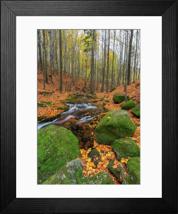 Framed Print : Bily Stolpich river near Ferdinandov, Ancient and Primeval Beech Forests of the Carpathians and Other Regions of Europe, UNESCO, Hejnice, Liberec District, Liberec Region, Czech Republic