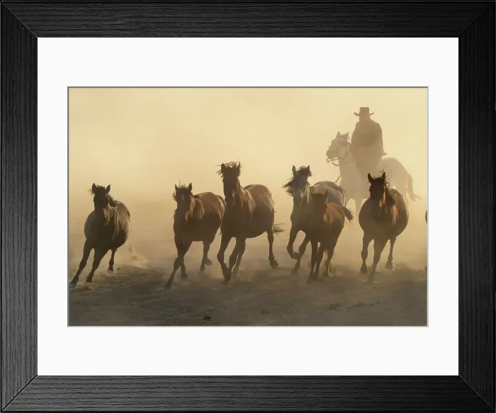 Framed Print : Cowboy herding a herd of Yilki horses sunset, Hurmetci, Hacilar District, Kayseri Province, Cappadocia, Central Anatolia Region, Turkey Framed Print : Cowboy herding a herd of Yilki horses sunset, Hurmetci, Hacilar District, Kayseri Province, Cappadocia, Central Anatolia Region, Turkey