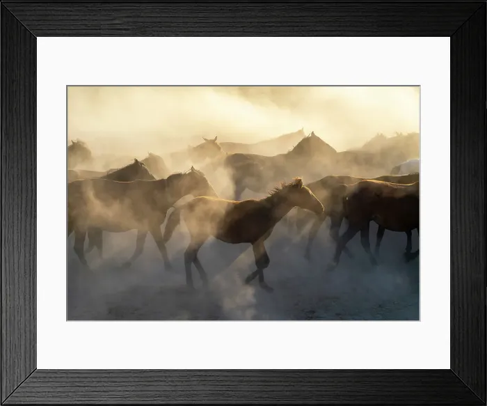 Framed Print : Herd of Yilki horses running in dust at sunset, Hurmetci, Hacilar District, Kayseri Province, Cappadocia, Central Anatolia Region, Turkey Framed Print : Herd of Yilki horses running in dust at sunset, Hurmetci, Hacilar District, Kayseri Province, Cappadocia, Central Anatolia Region, Turkey