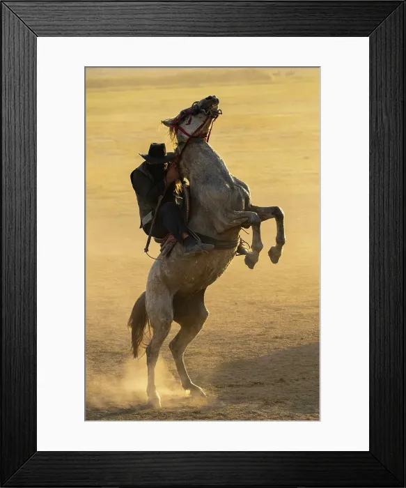 Framed Print : Cowboy prancing on horse at sunset, Hurmetci, Hacilar District, Kayseri Province, Cappadocia, Central Anatolia Region, Turkey Framed Print : Cowboy prancing on horse at sunset, Hurmetci, Hacilar District, Kayseri Province, Cappadocia, Central Anatolia Region, Turkey