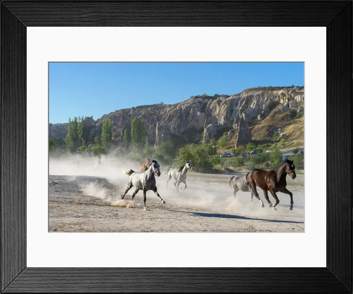 Framed Print : Horses running to Dalton Brothers Ranch, Goreme, Nevsehir District, Nevsehir Province, UNESCO, Cappadocia, Central Anatolia Region, Turkey Framed Print : Horses running to Dalton Brothers Ranch, Goreme, Nevsehir District, Nevsehir Province, UNESCO, Cappadocia, Central Anatolia Region, Turkey