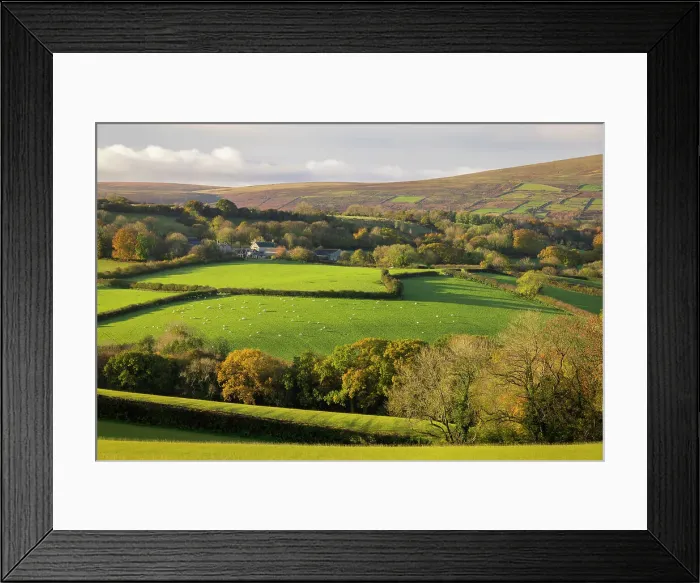 Framed Print : Rolling green countryside on the edge of Dartmoor National Park in Devon, England. Autumn (November) 2023 Framed Print : Rolling green countryside on the edge of Dartmoor National Park in Devon, England. Autumn (November) 2023