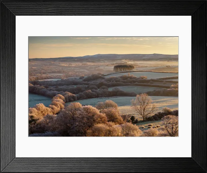 Framed Print : Frosted trees and countryside near Cookworthy Knapp (Nearly Home Trees) near Lifton, Devon, England. Autumn (November) 2023 Framed Print : Frosted trees and countryside near Cookworthy Knapp (Nearly Home Trees) near Lifton, Devon, England. Autumn (November) 2023