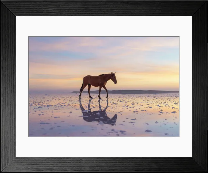 Framed Print : Horse standing on salt Lake Tuz at sunset, Karamollausagi, Sereflikochisar, Ankara Province, Central Anatolia Region, Turkey