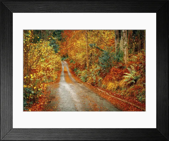 Framed Print : UK, England, Cumbria, Lake District National Park, Borrowdale Framed Print : UK, England, Cumbria, Lake District National Park, Borrowdale