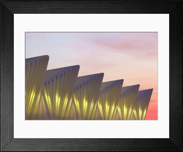 Framed Print : A detail of the AV Mediopadana high speed railway station illuminated at sunset, Reggio Emilia, Emilia Romagna, Italy, Europe. It was designed by architect Santiago Calatrava Framed Print : A detail of the AV Mediopadana high speed railway station illuminated at sunset, Reggio Emilia, Emilia Romagna, Italy, Europe. It was designed by architect Santiago Calatrava