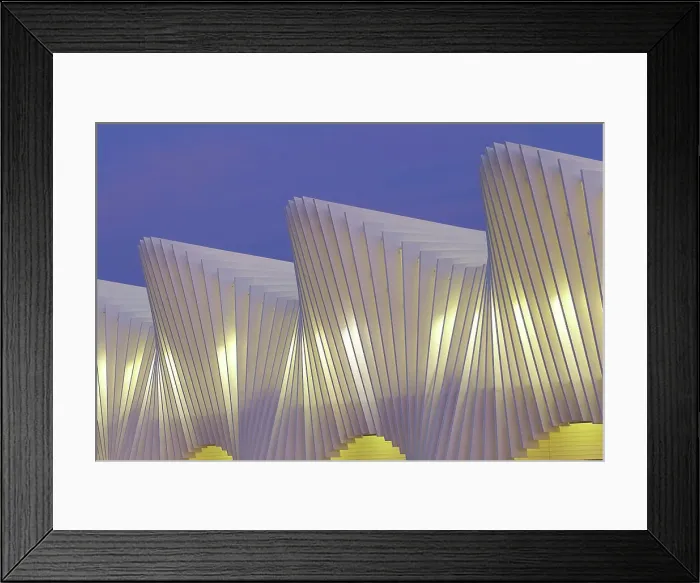 Framed Print : A detail of the AV Mediopadana high speed railway station illuminated at twilight, Reggio Emilia, Emilia Romagna, Italy, Europe. It was designed by architect Santiago Calatrava Framed Print : A detail of the AV Mediopadana high speed railway station illuminated at twilight, Reggio Emilia, Emilia Romagna, Italy, Europe. It was designed by architect Santiago Calatrava