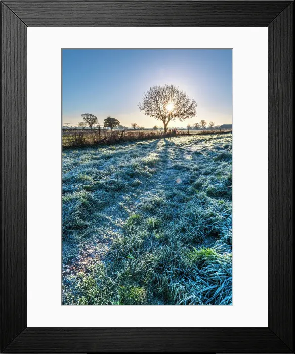 Framed Print : UK, England, Shropshire, Moreton Corbet, Lone Tree Framed Print : UK, England, Shropshire, Moreton Corbet, Lone Tree