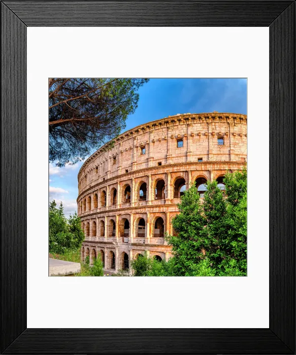 Framed Print : Clear sky at sunset over Coliseum surrounded by lush trees, Rome, Lazio, Italy Framed Print : Clear sky at sunset over Coliseum surrounded by lush trees, Rome, Lazio, Italy
