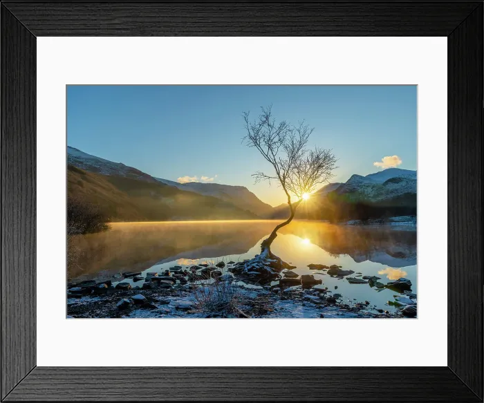 Framed Print : UK, Wales, Gwynedd, Snowdonia National Park (Parc Cenedlaethol Eryri), Llanberis, Llyn Padarn, Lone Tree at sunrise Framed Print : UK, Wales, Gwynedd, Snowdonia National Park (Parc Cenedlaethol Eryri), Llanberis, Llyn Padarn, Lone Tree at sunrise