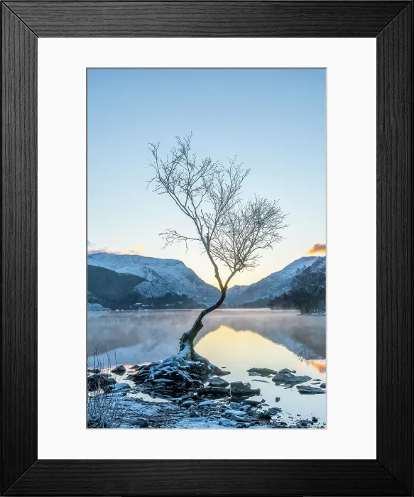 Framed Print : UK, Wales, Gwynedd, Snowdonia National Park (Parc Cenedlaethol Eryri), Llanberis, Llyn Padarn, Lone Tree at sunrise Framed Print : UK, Wales, Gwynedd, Snowdonia National Park (Parc Cenedlaethol Eryri), Llanberis, Llyn Padarn, Lone Tree at sunrise