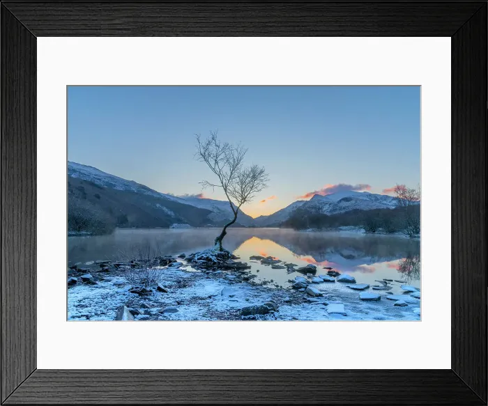 Framed Print : UK, Wales, Gwynedd, Snowdonia National Park (Parc Cenedlaethol Eryri), Llanberis, Llyn Padarn, Lone Tree at sunrise Framed Print : UK, Wales, Gwynedd, Snowdonia National Park (Parc Cenedlaethol Eryri), Llanberis, Llyn Padarn, Lone Tree at sunrise