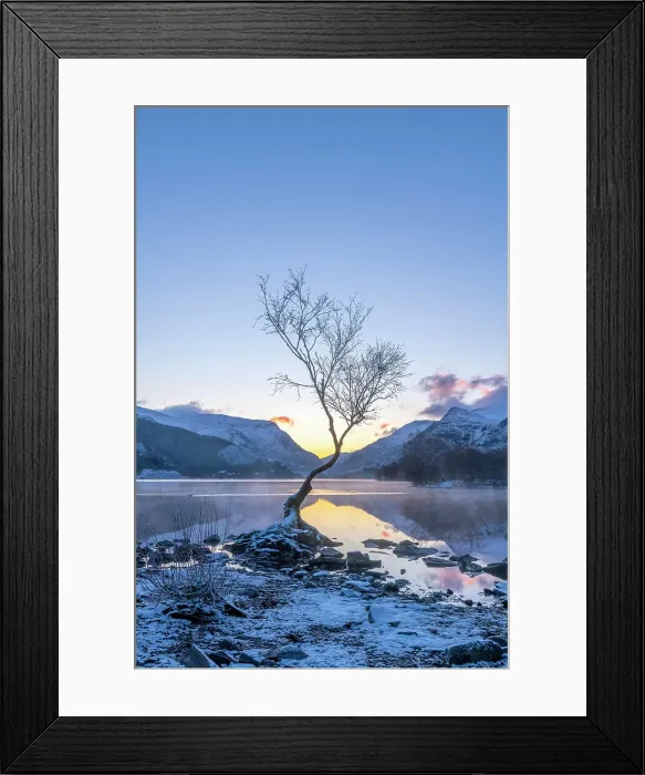Framed Print : UK, Wales, Gwynedd, Snowdonia National Park (Parc Cenedlaethol Eryri), Llanberis, Llyn Padarn, Lone Tree at sunrise