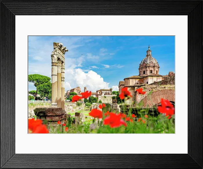Framed Print : Imperial Forums framed by red flowers in bloom at springtime, Rome, Italy Framed Print : Imperial Forums framed by red flowers in bloom at springtime, Rome, Italy