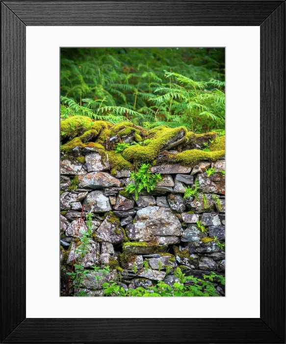 Framed Print : UK, England, Cumbria, Lake District National Park, Tarn Hows, Dry stone wall Framed Print : UK, England, Cumbria, Lake District National Park, Tarn Hows, Dry stone wall