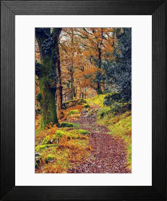 Framed Print : UK, England, Cumbria, Lake District National Park, Seatoller, Woodland Path Framed Print : UK, England, Cumbria, Lake District National Park, Seatoller, Woodland Path