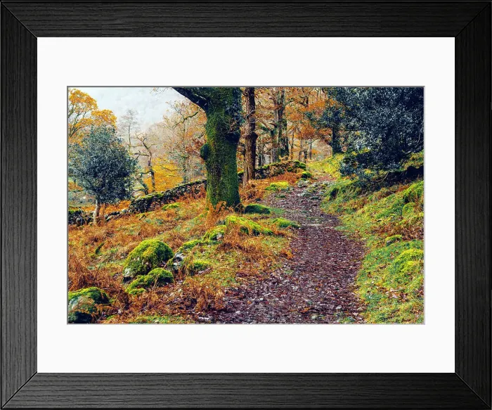 Framed Print : UK, England, Cumbria, Lake District National Park, Seatoller, Woodland Path Framed Print : UK, England, Cumbria, Lake District National Park, Seatoller, Woodland Path