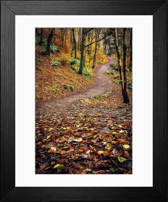 Framed Print : UK, England, Cumbria, Lake District National Park, Grasmere, Woodland Path Framed Print : UK, England, Cumbria, Lake District National Park, Grasmere, Woodland Path
