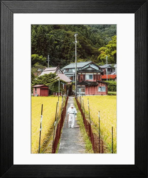 Framed Print : Old man walking near cultivated rice fields at Ini village, Japan Framed Print : Old man walking near cultivated rice fields at Ini village, Japan