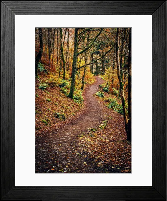 Framed Print : UK, England, Cumbria, Lake District National Park, Grasmere, Woodland Path Framed Print : UK, England, Cumbria, Lake District National Park, Grasmere, Woodland Path