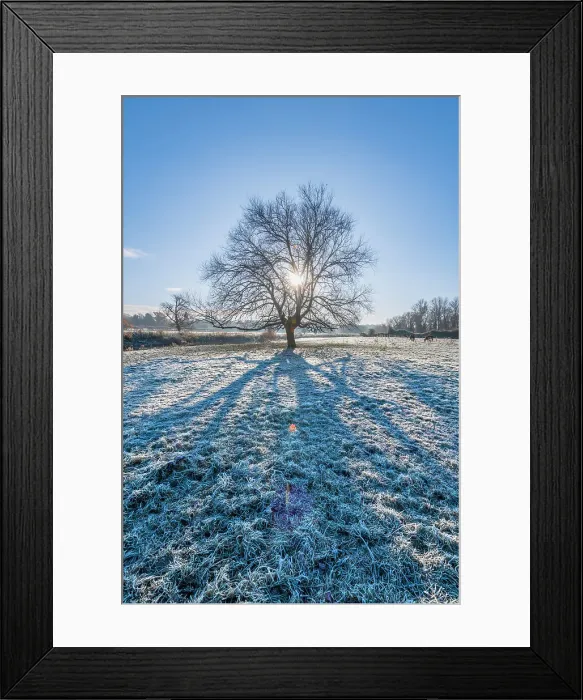 Framed Print : UK, England, Cambridgeshire, Grantchester, Grantchester Meadows, frosty morning