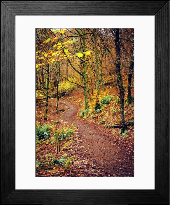 Framed Print : UK, England, Cumbria, Lake District National Park, Grasmere, Woodland Path Framed Print : UK, England, Cumbria, Lake District National Park, Grasmere, Woodland Path