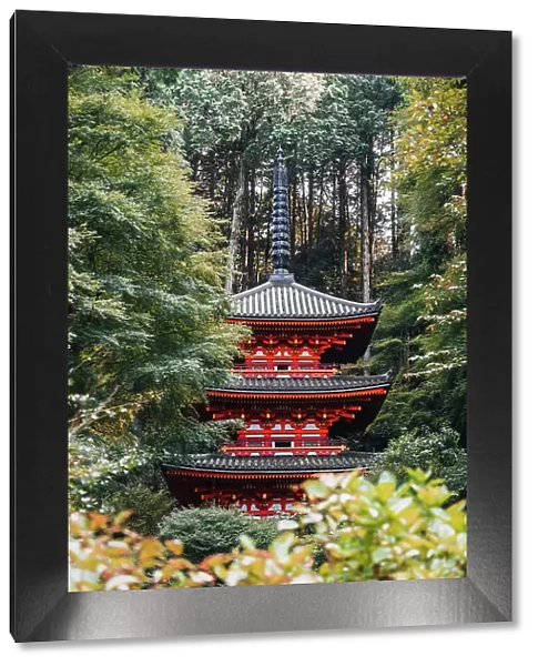 Gansen-ji temple, pagoda and garden near Kyoto, Japan