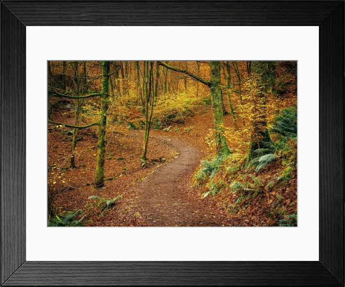 Framed Print : UK, England, Cumbria, Lake District National Park, Grasmere, Woodland Path Framed Print : UK, England, Cumbria, Lake District National Park, Grasmere, Woodland Path