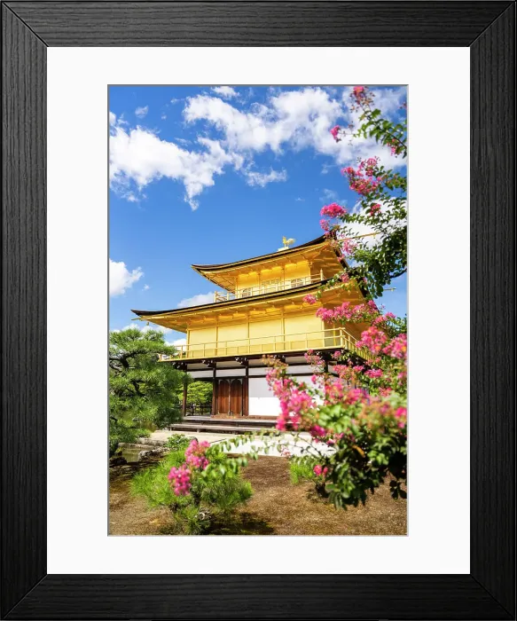 Framed Print : Japan, Kyoto, Kinkaku-ji, -The Golden Pavilion Framed Print : Japan, Kyoto, Kinkaku-ji, -The Golden Pavilion