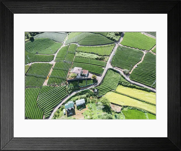 Framed Print : Wazuka Tea Plantation from above, Kansai, Japan Framed Print : Wazuka Tea Plantation from above, Kansai, Japan
