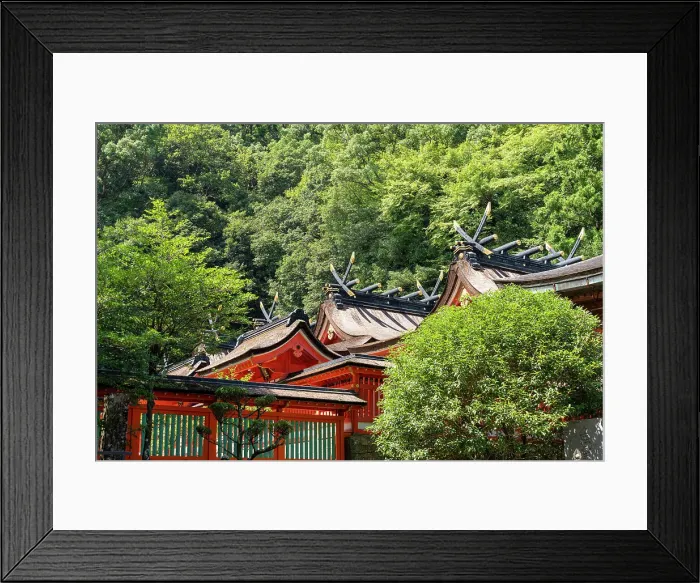 Framed Print : Kumano Kodo pilgrimage route, Kumano Nachi Taisha World heritage, Japan Framed Print : Kumano Kodo pilgrimage route, Kumano Nachi Taisha World heritage, Japan