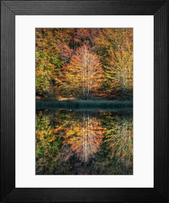 Framed Print : Pranda Lake, tuscan-emilian apennine national park, municipality of Ventasso, Reggio Emilia province, Emilia-Romagna district, Italy Framed Print : Pranda Lake, tuscan-emilian apennine national park, municipality of Ventasso, Reggio Emilia province, Emilia-Romagna district, Italy