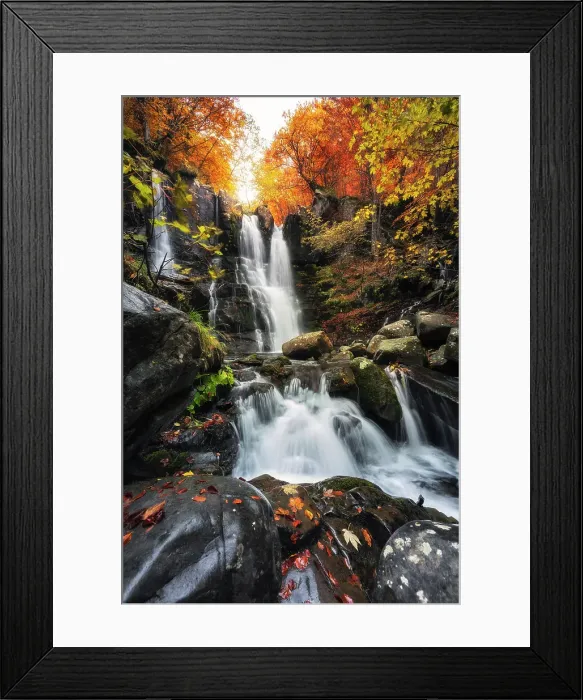 Framed Print : Dardagna waterfalls, Corno Alle Scale Regional Park, Lizzano in Belvedere, Bologna province, Emilia Romagna, Italy Framed Print : Dardagna waterfalls, Corno Alle Scale Regional Park, Lizzano in Belvedere, Bologna province, Emilia Romagna, Italy