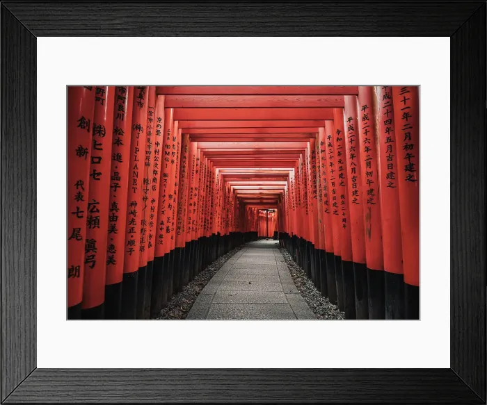 Framed Print : Kyoto Japan. Fushimi Inari Taisha Shrine at sunrise Framed Print : Kyoto Japan. Fushimi Inari Taisha Shrine at sunrise