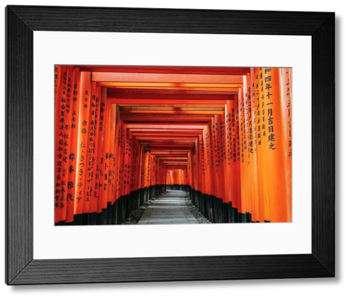Framed Print : Kyoto Japan. Fushimi Inari Taisha Shrine at sunrise Framed Print : Kyoto Japan. Fushimi Inari Taisha Shrine at sunrise