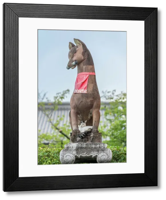 Framed Print : Cat under Guarding dog statue at Fushimi-Inari, Kyoto, Japan Framed Print : Cat under Guarding dog statue at Fushimi-Inari, Kyoto, Japan