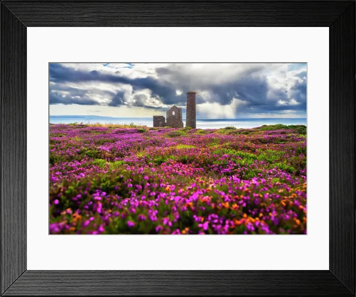 Framed Print : Wheal Coates and Chapel Port Mine during flowering, Saint Agnes, Cornwall, England, United Kingdom Framed Print : Wheal Coates and Chapel Port Mine during flowering, Saint Agnes, Cornwall, England, United Kingdom