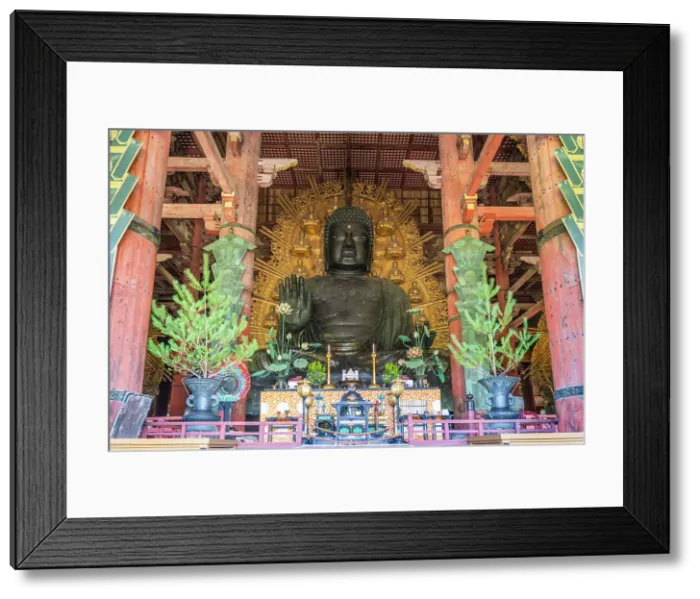 Framed Print : Todaiji Temple, Great Buddha Vairocana (Daibutsu), Nara, Honshu, Japan Framed Print : Todaiji Temple, Great Buddha Vairocana (Daibutsu), Nara, Honshu, Japan