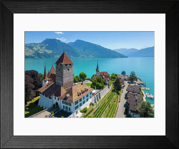 Framed Print : Aerial view of Spiez Castle on shores of lake Thun in summer. Bernese Oberland, Frutigen-Niedersimmental administrative district, Canton of Bern, Switzerland Framed Print : Aerial view of Spiez Castle on shores of lake Thun in summer. Bernese Oberland, Frutigen-Niedersimmental administrative district, Canton of Bern, Switzerland