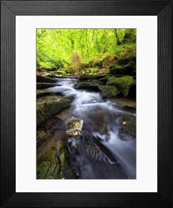 Framed Print : Woodland at St Nectans's Glen, Threthevy, Tintagel, Cornwall, England, United Kingdom Framed Print : Woodland at St Nectans's Glen, Threthevy, Tintagel, Cornwall, England, United Kingdom