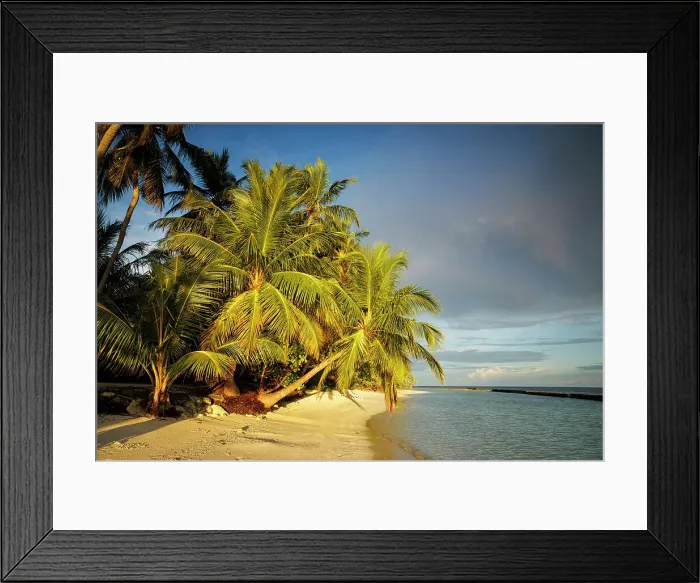 Framed Print : Tropical beach with golden sand and palm trees, North Ari Atoll, the Maldives